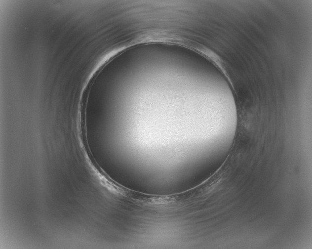 X0000061731147200512161615