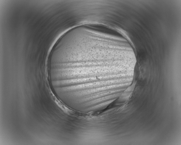 X0000061731148200512161615