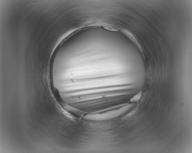 X0000061731149200512161615