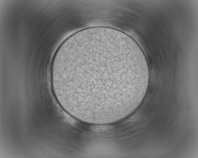 X0000061731150200512161615