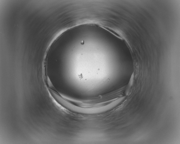 X0000061731151200512161615