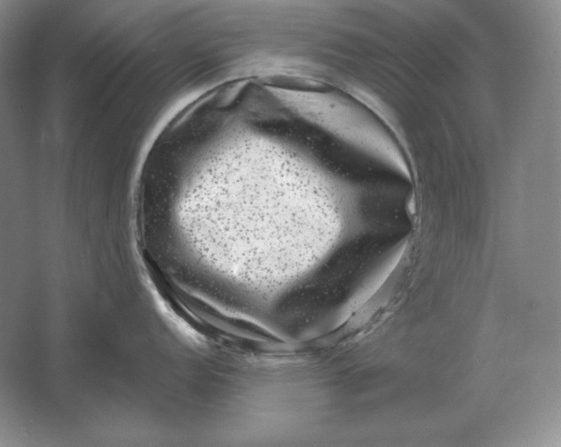 X0000061731152200512161615