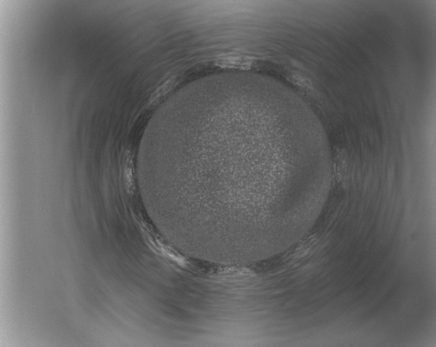 X0000061731154200512161615