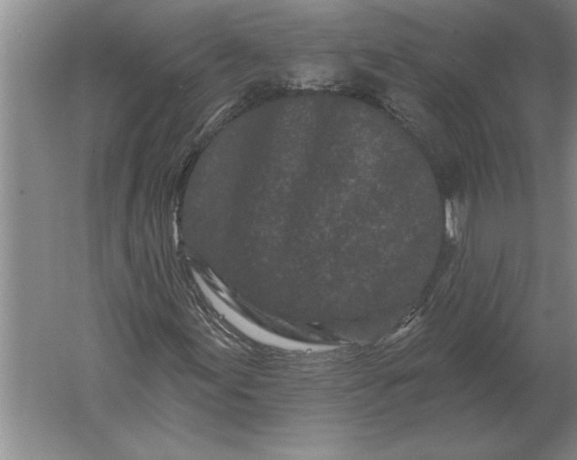 X0000061731155200512161615