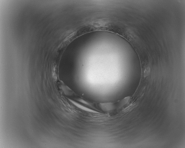 X0000061731156200512161614