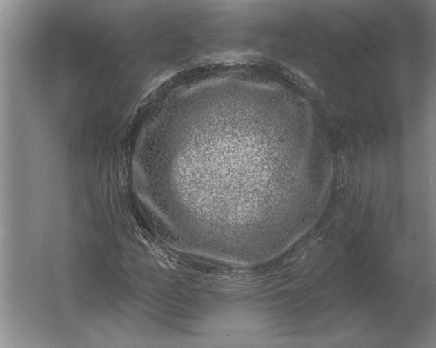 X0000061731158200512161614