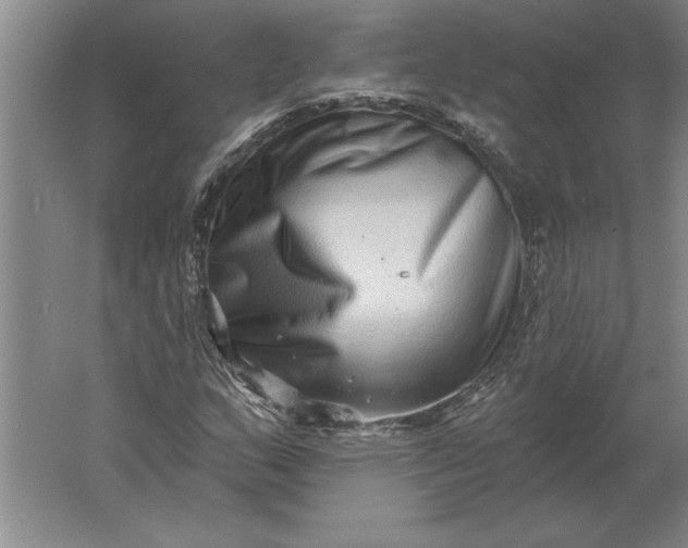 X0000061731159200512161614