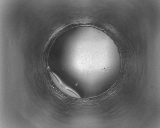 X0000061731160200512161614