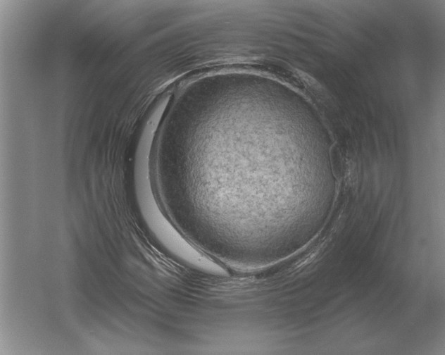 X0000061731161200512161614