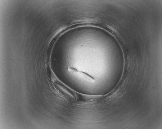 X0000061731163200512161614