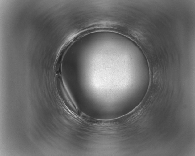 X0000061731164200512161614