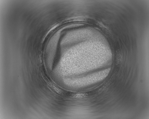 X0000061731166200512161614