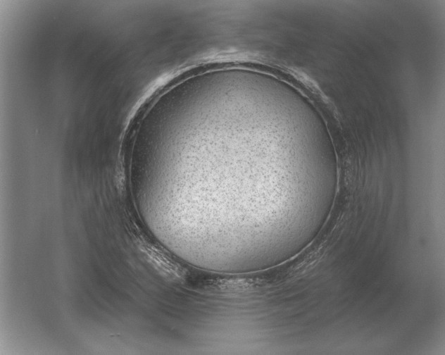 X0000061731167200512161614