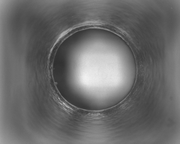 X0000061731168200512161614