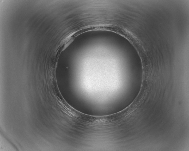 X0000061731169200512161614