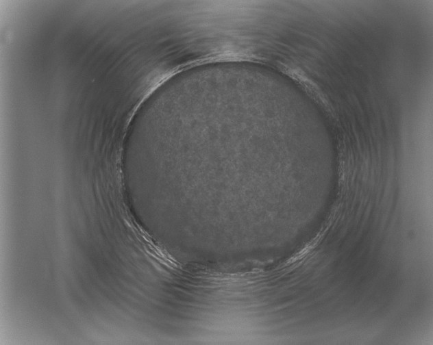 X0000061731170200512161614