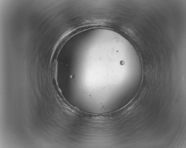 X0000061731172200512161614