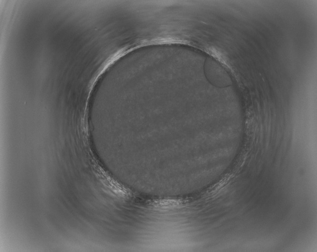 X0000061731173200512161614