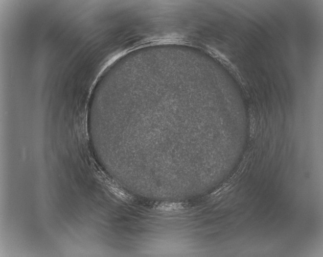 X0000061731174200512161614