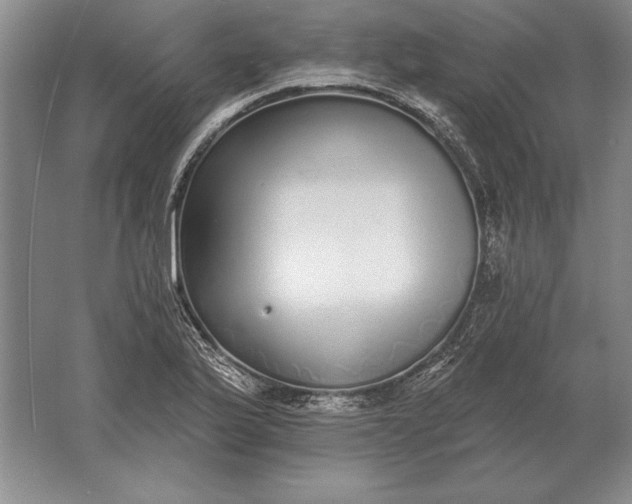 X0000061731175200512161614