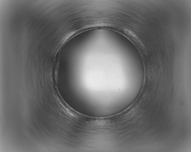 X0000061731177200512161614