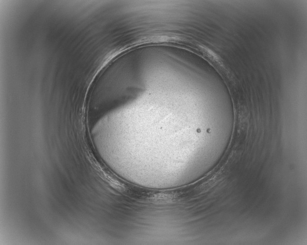 X0000061731178200512161614