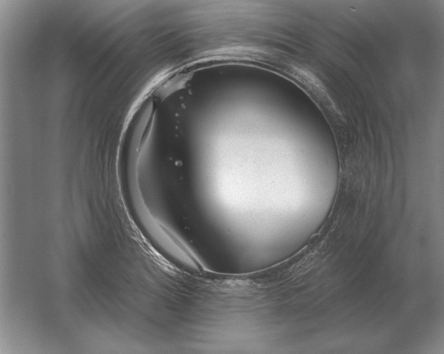 X0000061731180200512161614