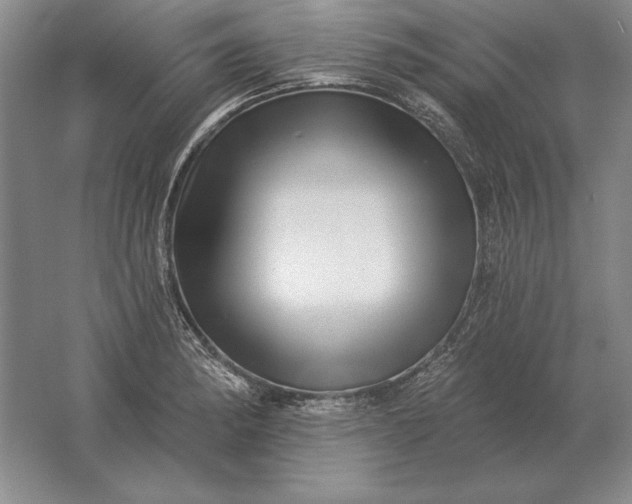 X0000061731182200512161614