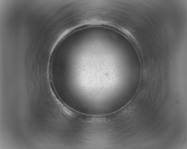 X0000061731183200512161614