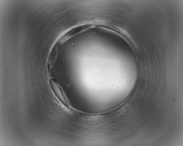 X0000061731184200512161614