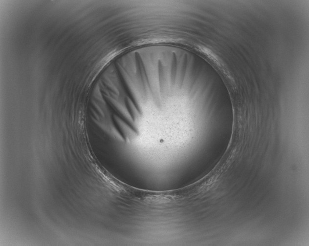 X0000061731185200512161614