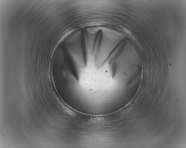 X0000061731186200512161614