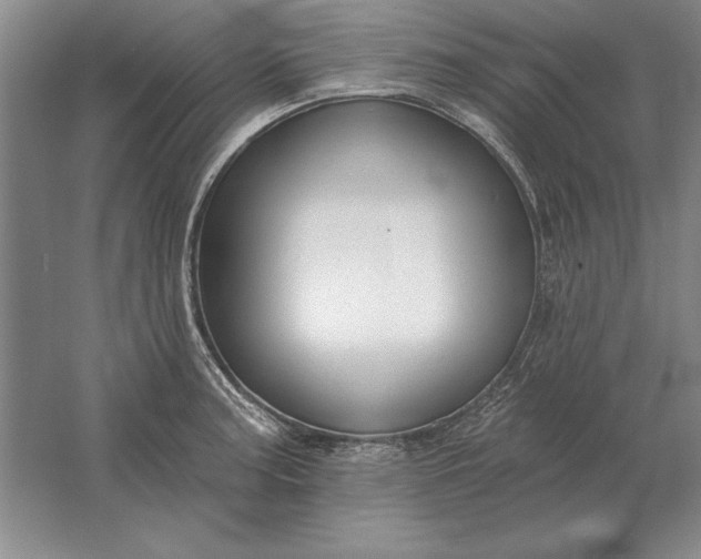 X0000061731187200512161614