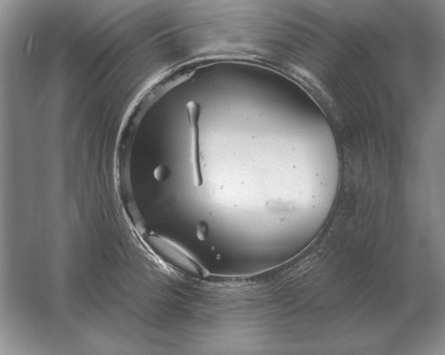 X0000061731188200512161614