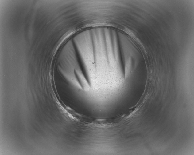 X0000061731189200512161614