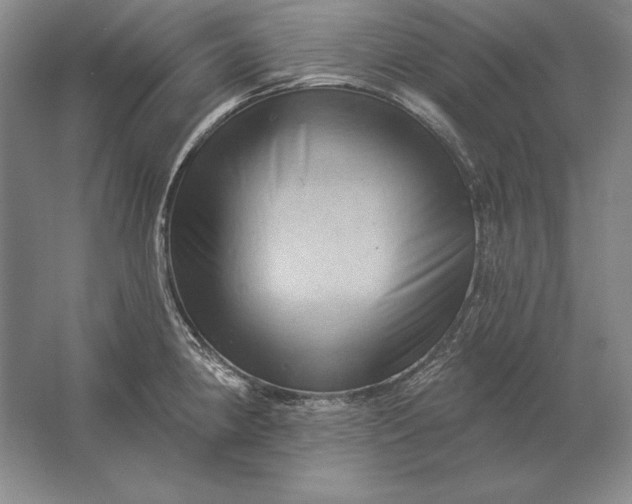 X0000061731190200512161614