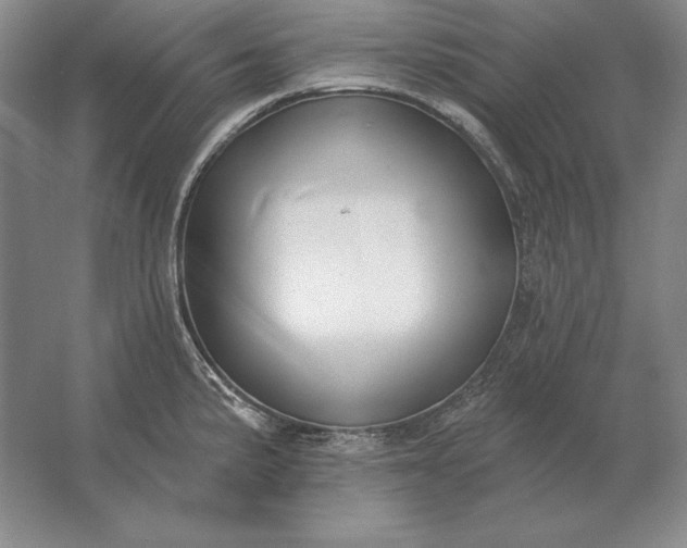 X0000061731191200512161614