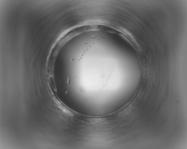 X0000061731192200512161614