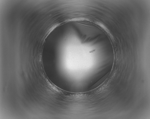 X0000061731193200512161614