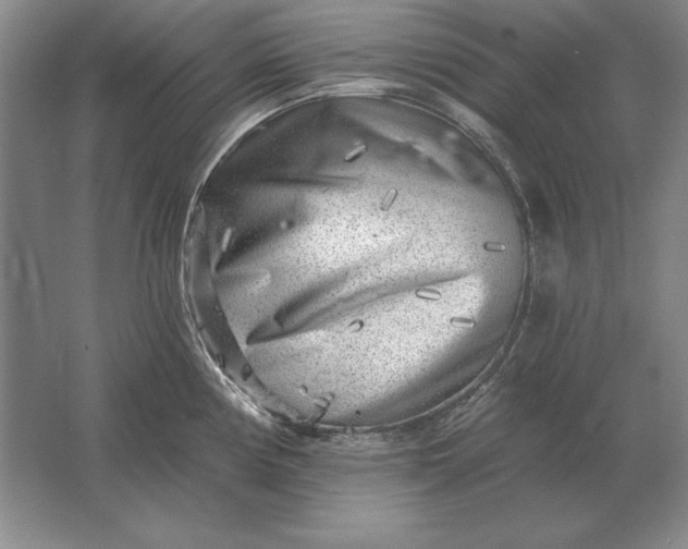 X0000061731194200512161614