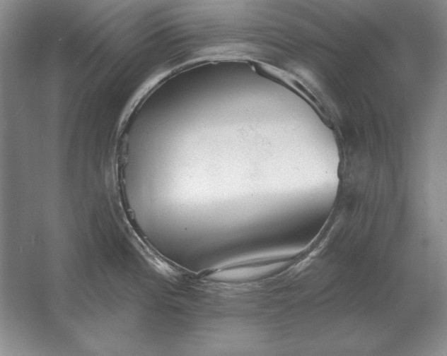 X0000061731196200512161614