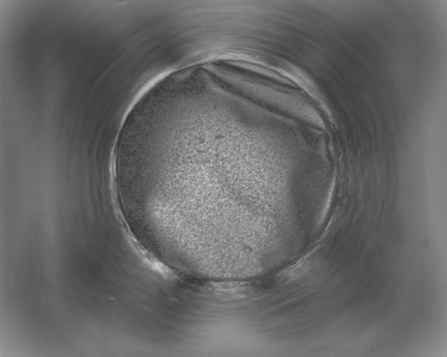 X0000061731198200512161614