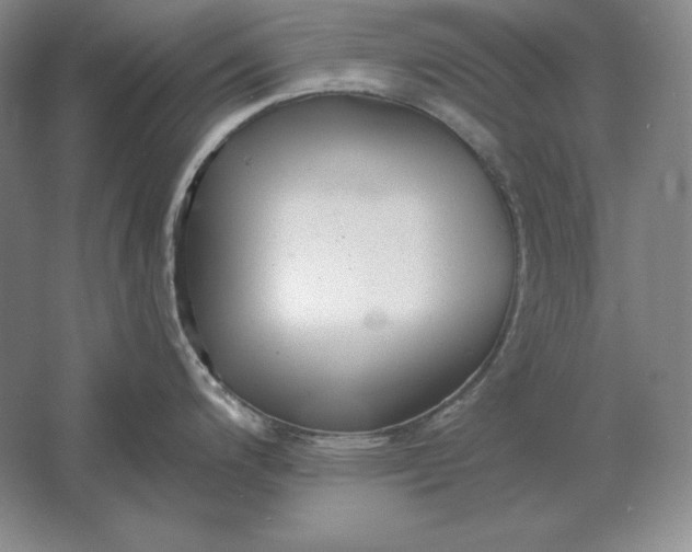 X0000061731200200512161614