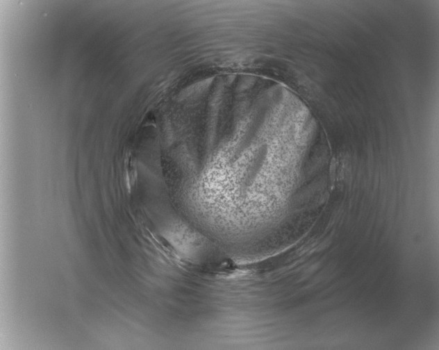 X0000061731202200512161613