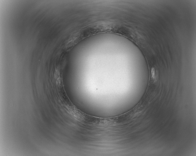 X0000061731203200512161613