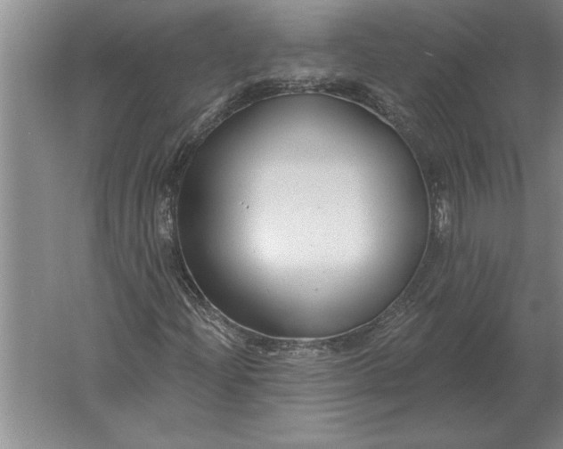 X0000061731204200512161613