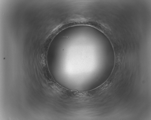 X0000061731205200512161613