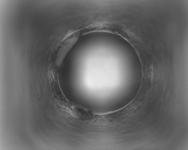 X0000061731206200512161613