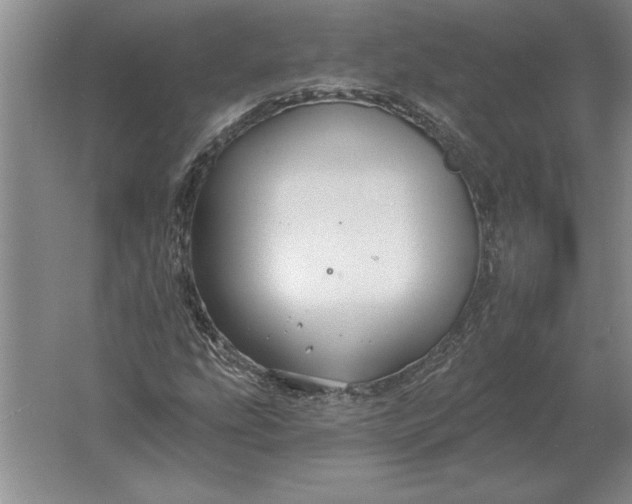 X0000061731207200512161613