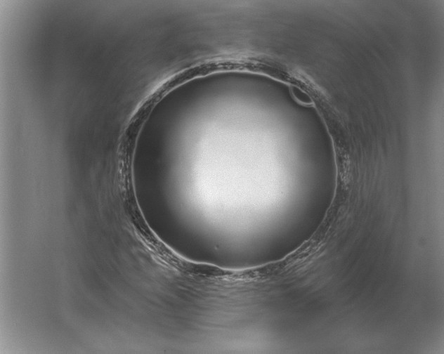 X0000061731208200512161613